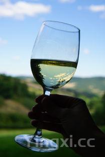 白酒杯怎么选?好用的白酒杯推荐,让你品味升级