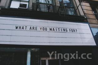 海带排骨汤海带什么时候放下去,海带排骨汤