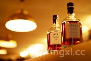 海带排骨汤海带什么时候放下去,海带排骨汤