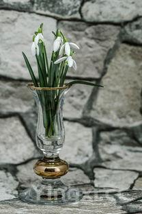 艾草糯米糍粑的做法大全，艾草糯米糍粑的做法大全视频