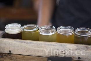 盖饭大全菜单窍门，盖饭大全菜单