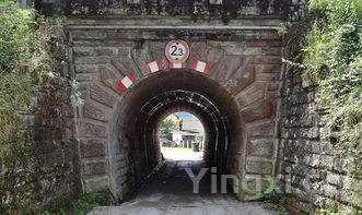 鱼香肉丝的做法及步骤，香辣肉丝的做法