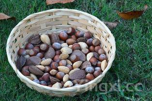 小米八宝粥的做法,小米八宝饭的家常做法