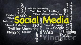 酒水销售必知：白酒销售人员如何精准报数与策略分享