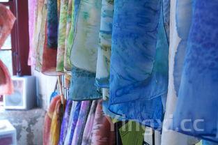 白芷炖肉起什么作用,白芷