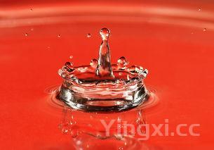 冰淇淋真实高清,冰淇淋真人