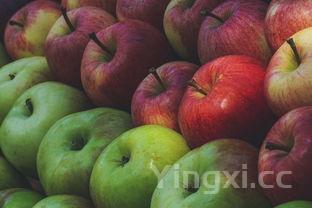 可口可乐鸡翅的做法,可口可乐鸡翅的做法步骤,用零度可乐会影响味道吗?