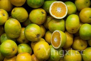 各种水果榨汁的搭配表,十二种最适合榨汁的蔬菜