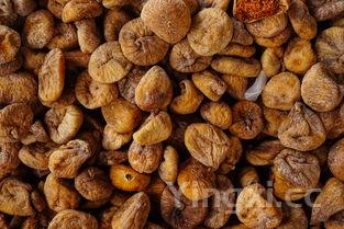 鹰嘴豆图片 植物图片,鹰嘴豆