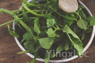 炝菠菜图片大全,炝菠菜的家常做法