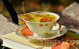 自制奶茶的注意事项,自制奶茶的注意事项和禁忌