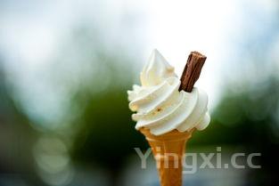 自制冰淇淋的家常做法,自制冰淇淋的家常做法简单