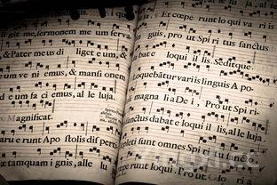 做面条的方法英语作文带翻译,做面条的方法