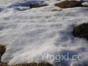 白酒能融化雪吗？白酒融化的雪有毒吗？