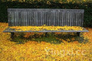 豆芽苗怎么种植方法,豆芽的种植方法