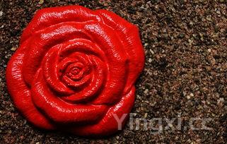 手工花馍100种,做花,手工花馍100种