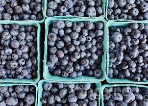 干豆角的15种最佳吃法视频，干豆角的15种最佳吃法