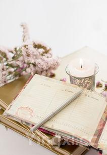 绿豆芽生长观察日记作文，绿豆芽生长观察日记